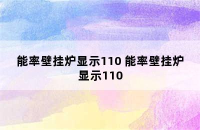 能率壁挂炉显示110 能率壁挂炉显示110